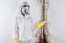 Best Asbestos and Lead Testing During Mold Inspection in USA